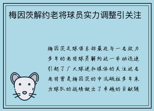 梅因茨解约老将球员实力调整引关注